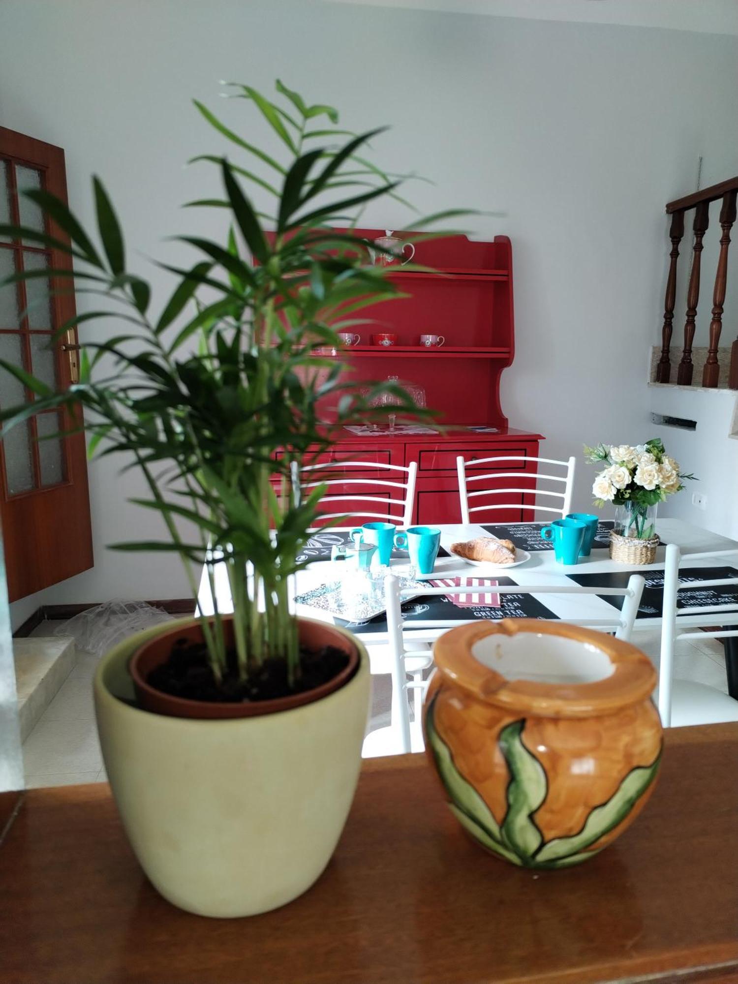Buen Retiro -